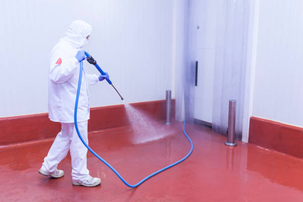 Best Paint Preparation  in Cape Charles, VA